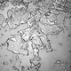 Image for article titled Tears of joy and tears of sadness look different under the microscope